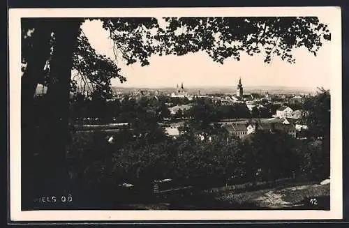 AK Wels, Blick von der Aussicht über die Stadt zur Pfarrkirche