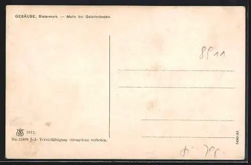 AK Gstatterboden /Gesäuse, Ortspartie mit Grossem Buchstein