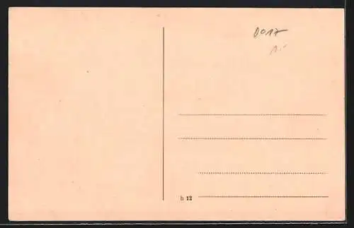 AK Losenstein a. d. Enns, Panoramablick auf den Ort