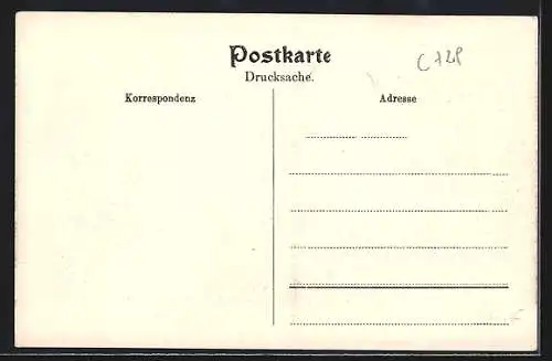 AK Alland im Gebirge, Teilansicht mit Strassenpartie