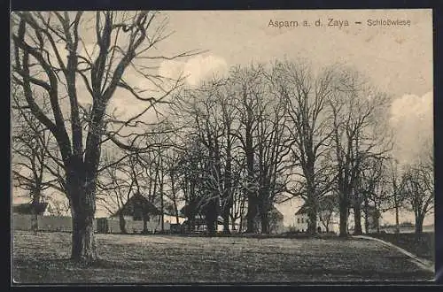 AK Asparn a. d. Zaya, Motiv der Schlosswiese