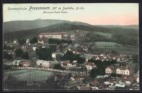 AK Pressbaum /N.-Oe., Pensionat Sacré Coeur