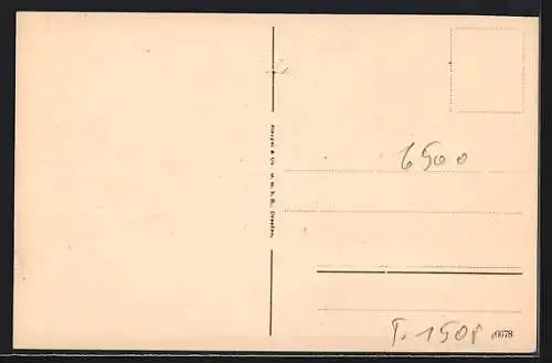 AK Landeck i. Tirol, Teilansicht mit dem Riffler