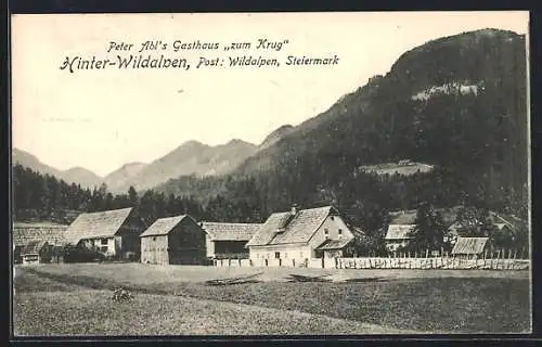 AK Hinter-Wildalpen, Blick gegen Gasthaus Zum Krug