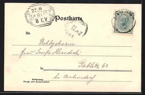 AK Admont, Alte Markt-Kirche und Stiftskirche gegen Sparafeld und Hahnstein