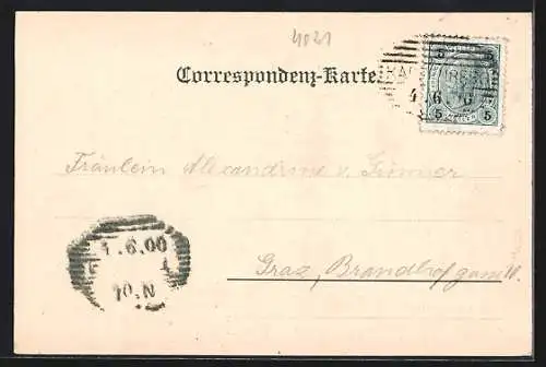 AK Kapfenberg, Ortsansicht mit Bergpanorama aus der Vogelschau