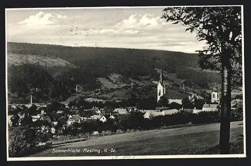 AK Piesting, Ortsansicht aus der Ferne