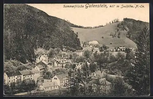 AK Gutenstein, Panorama