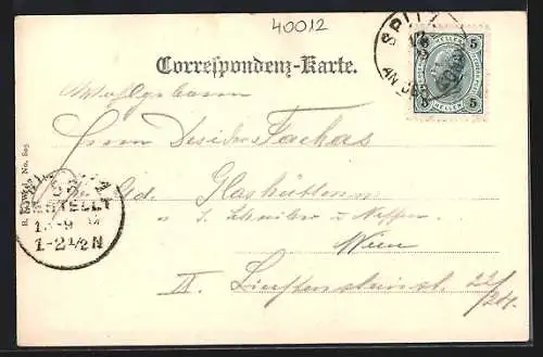 AK Aggstein, Ortsansicht mit Bergpanorama aus der Vogelschau