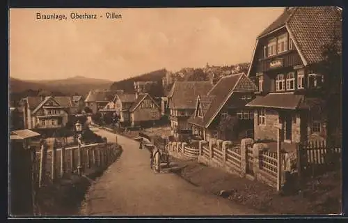 AK Braunlage /Oberharz, Strassenpartie im Villenviertel