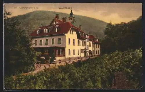 AK Edenkoben, Gasthof Waldhaus im Tal