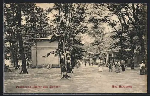 AK Bad Harzburg, Promenade Unter den Eichen