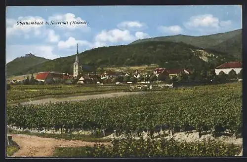 AK Oberhambach / Rheinpfalz, Ortsansicht mit Weinfeld