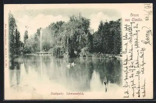 AK Olmütz, Schwanenteich im Stadtpark