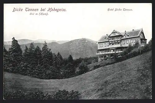 AK Hohegeiss / Dick Tannen, Hotel Dicke Tannen