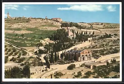 AK Jerusalem, Der Ölberg, Im Vordergrund Kirche und Garten Gethsemane