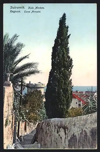 AK Ragusa, Torre Minecta