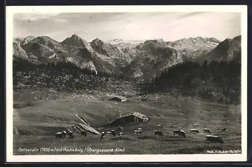 AK Berchtesgaden, Gotzenalm, Panorama mit Hochkönig