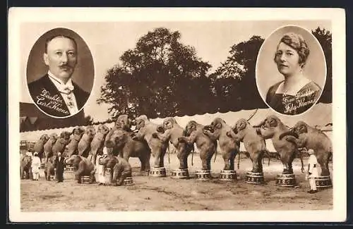 AK Zirkus Krone, Der Grösste Circus Europas, Herr und Frau Krone, Elefanten bei einer Vorführung