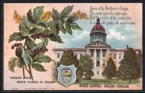 AK Salem, OR, Oregon Grape State Flower, State Capitol