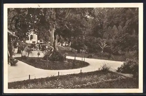 AK Bad Neuhaus, Gartenansicht mit Autos