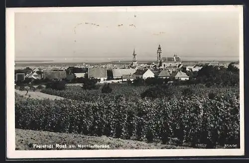 AK Rust am Neusiedlersee, Ansicht vom Weinberg aus