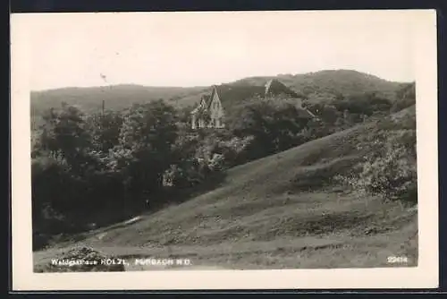 AK Purbach /N. D., Waldgasthaus Hölzl mit Wald