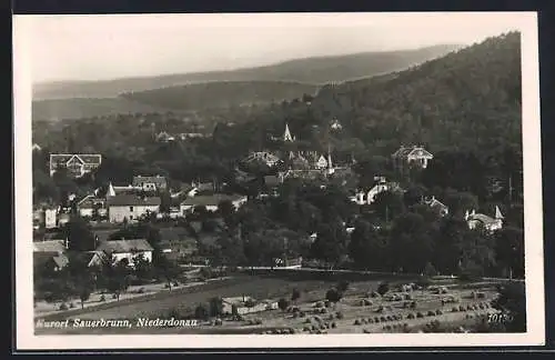 AK Sauerbrunn, Blick auf Ort und Feld