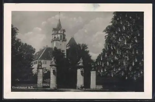 AK Ebreichsdorf /N. Ö., Schloss mit Eingang und blühender Kastanie