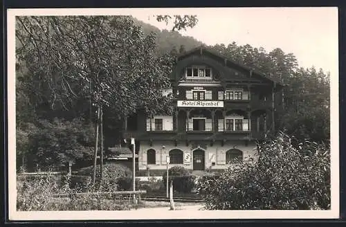 AK Puchberg a. Sch., Hotel Alpenhof