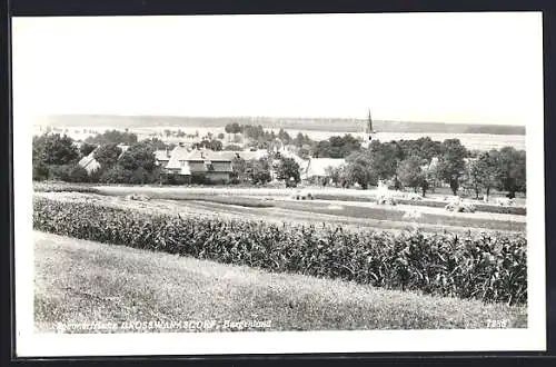 AK Grosswarasdorf /Burgenland, Gesamtansicht vom Feld aus