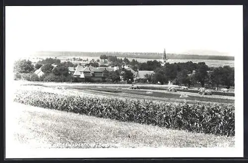 AK Grosswarasdorf, Teilansicht des Ortes