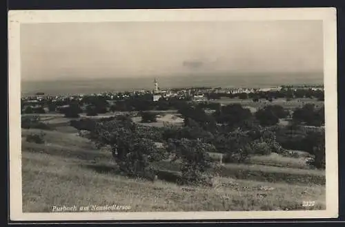 AK Purbach am Neusiedlersee, Blick gegen den See