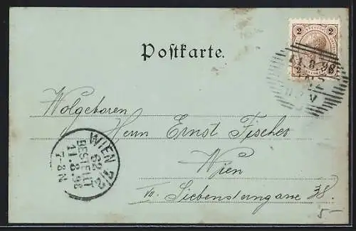 Mondschein-AK Linz, Ortsansicht bei Nacht