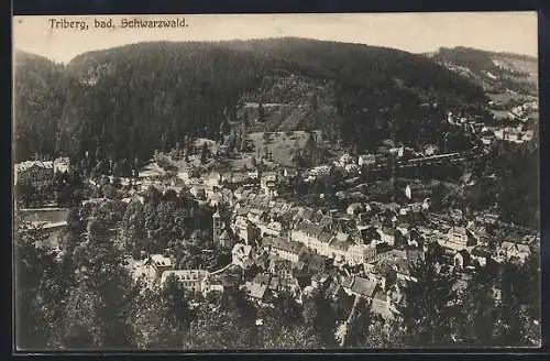 AK Triberg /Schwarzwald, Totalansicht aus der Vogelschau