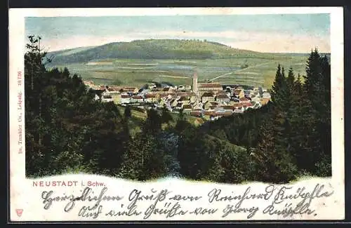 Lithographie Neustadt i. Schwarzwald, Gesamtansicht vom Wald aus