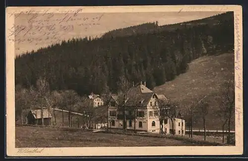 AK Wildenthal, Hotel zur Post