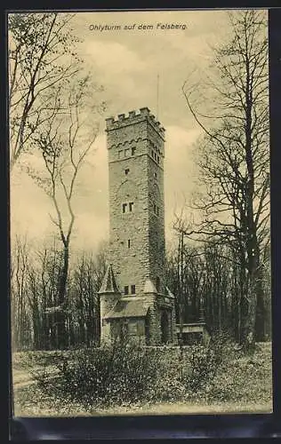 AK Felsberg, Ohlyturm vom Boden aus gesehen