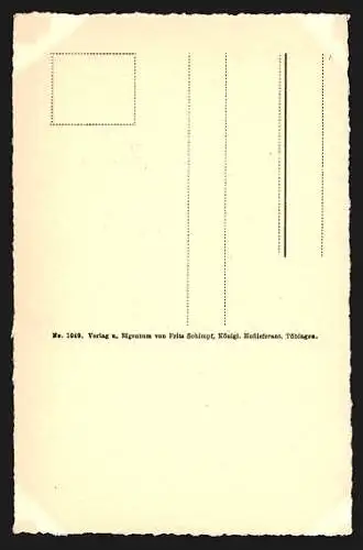 Künstler-AK Tübingen, Partie am Neckar