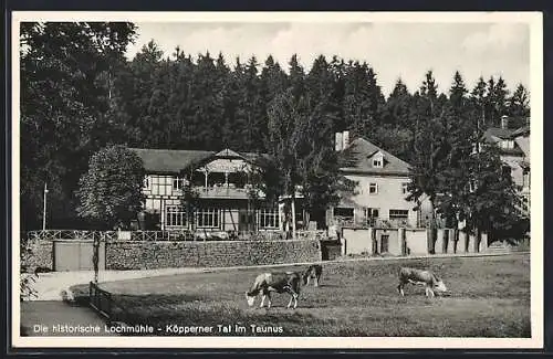 AK Wehrheim / Taunus, Restaurant Lochmühle