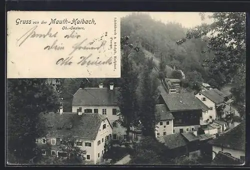 AK Mauth-Haibach, Teilansicht mit Gasthof Dachs-Weinhaus