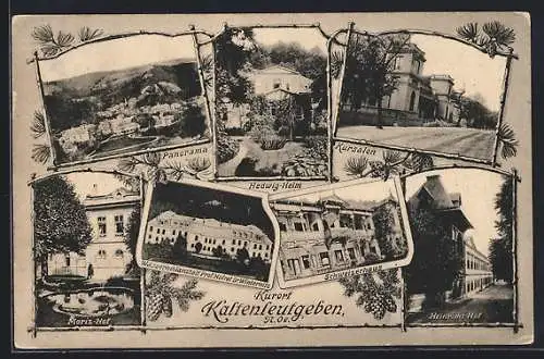 AK Kaltenleutgeben, Panorama, Hedwig-Heim, Kursalon, Moriz-Hof