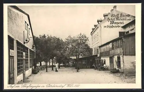 AK Wien-Pötzleinsdorf, Hotel, Meierei und Winzerei zur Schafbergalpe