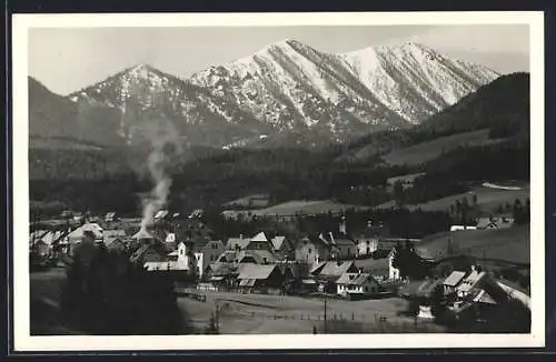 AK Mitterbach, Ortsansicht mit Bergpanorama