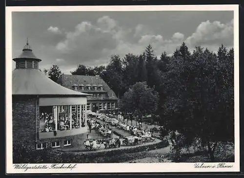 AK Uelzen i. Hann., Waldgaststätte Fischerhof W. Stepputat mit Terrasse aus der Vogelschau