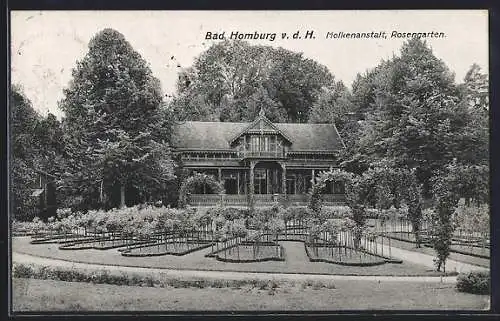 AK Bad Homburg, Molkenanstalt, Rosengarten