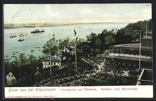 AK Hamburg-Altona, Elbschlucht, Gartenpartie mit Elbstrom