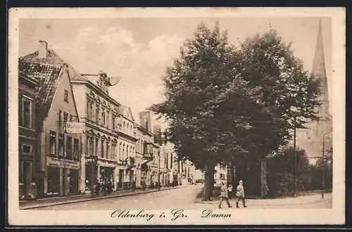 AK Oldenburg i. Gr., Strasse am Damm