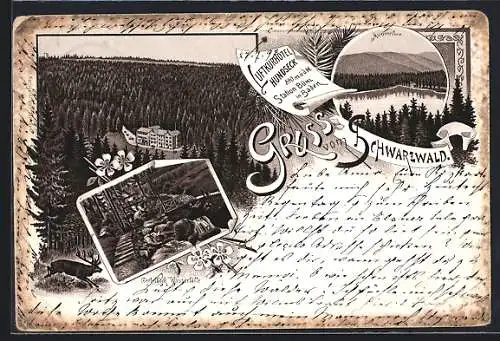 Lithographie Hundseck /Schwarzwald, Das Luftkurhotel, Gertelbach Wasserfälle, Mummelsee