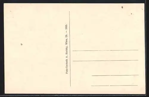 AK Schwarzach-St. Veit, Heilstätte Grafenhof